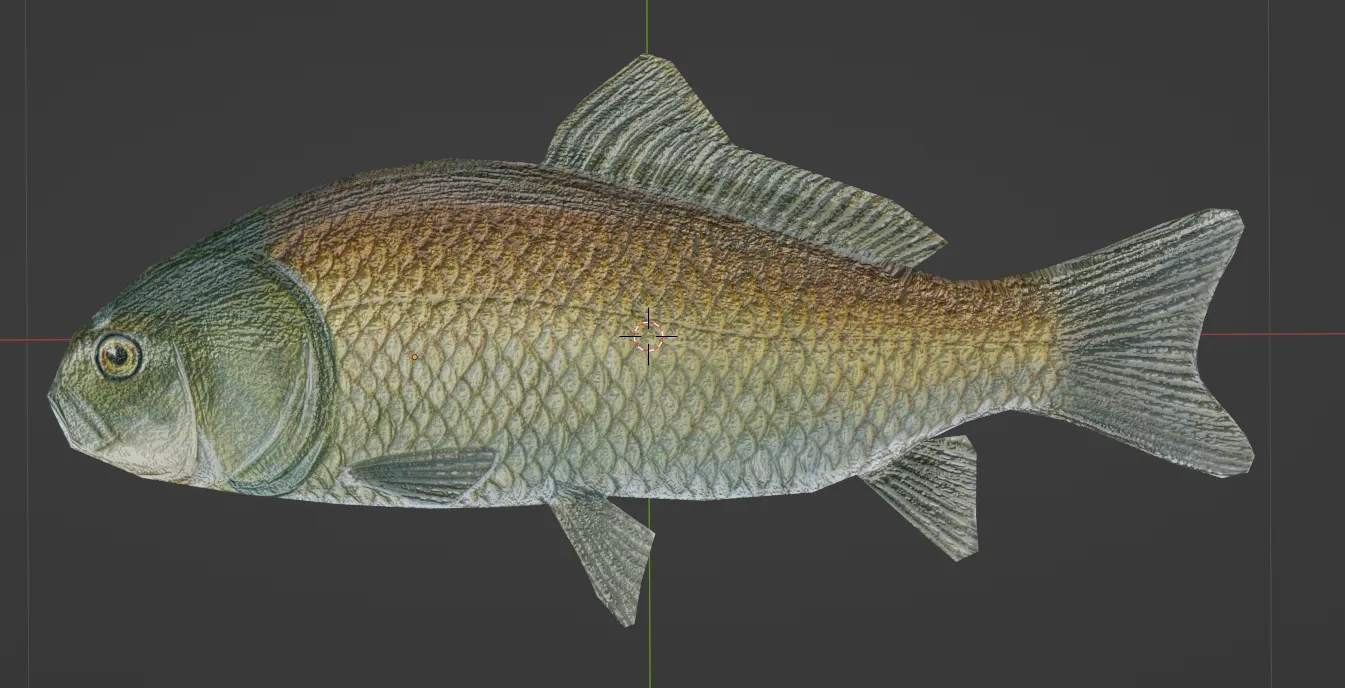 Carp model in Blender